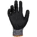 60585_palm2.webp