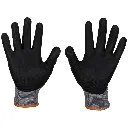 60585_palms.webp