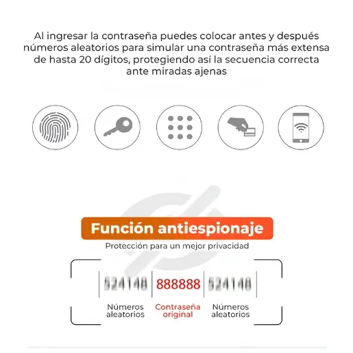 4.webp